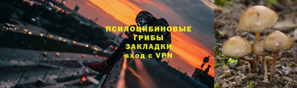 кокс Каменка