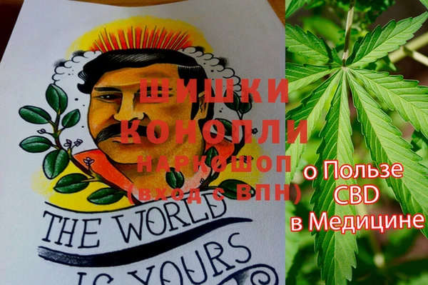 кокс Каменка
