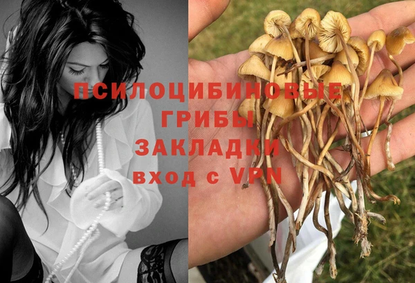 ешки Каменск-Шахтинский